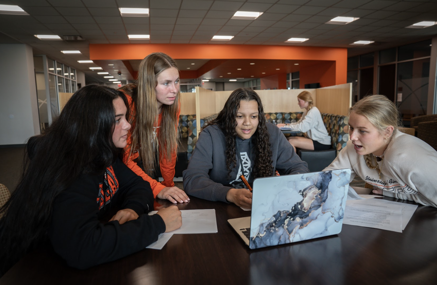 Undergraduate students at University of Findlay